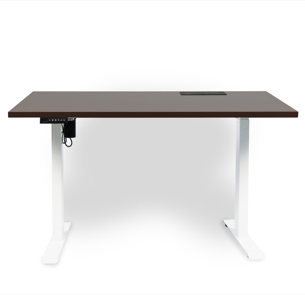 Kanata standing desk workspace setup 1