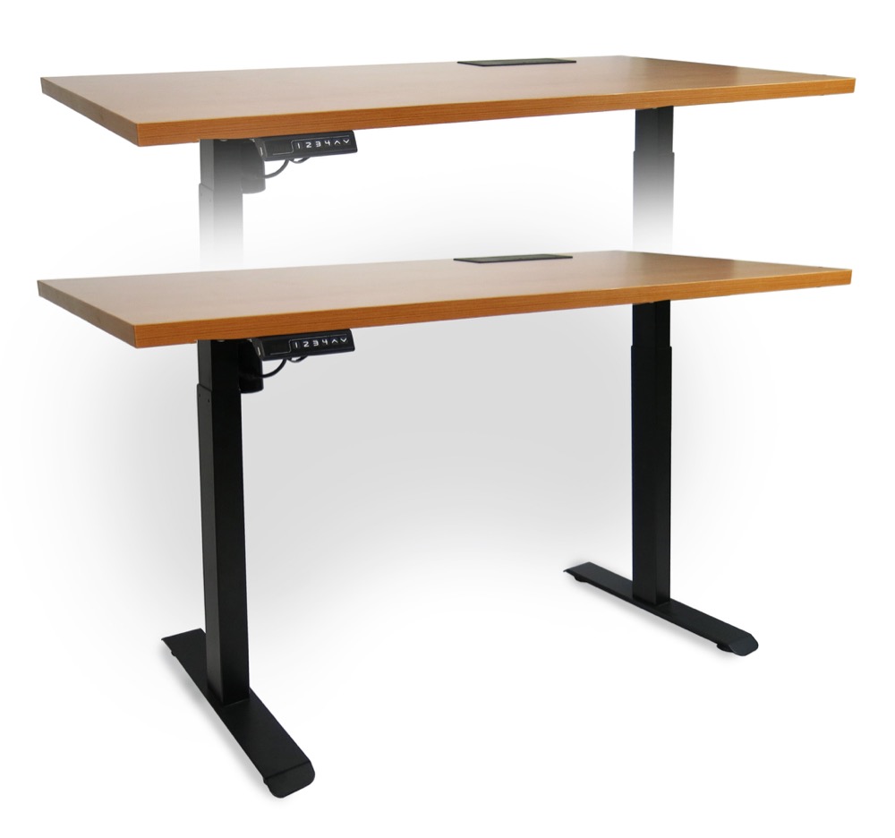 Kanata standing desk workspace setup 3
