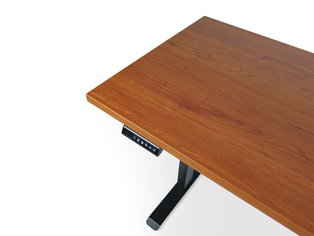Kanata standing desk workspace setup 6