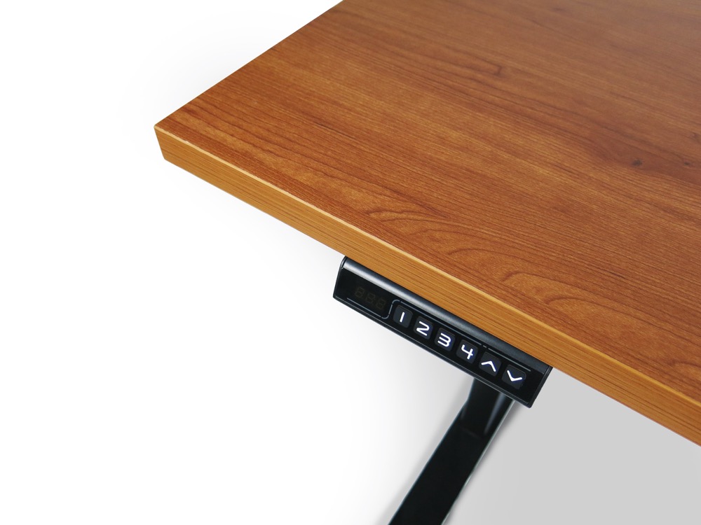 Kanata standing desk workspace setup 7