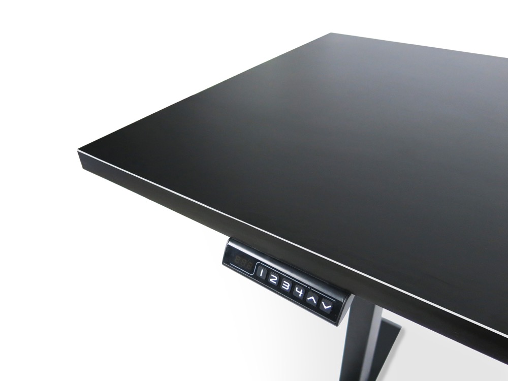 Kanata standing desk workspace setup 8